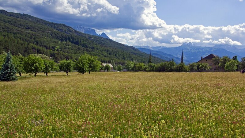Entre Jausiers et Barcelonnette. Archivio PNM, autore E. Le Bouteiller