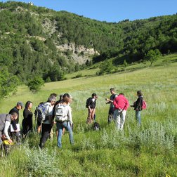 Formazione sulla flora e le praterie (R. Charmetant/PNM)