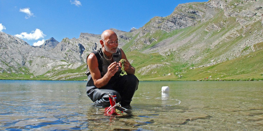 Christophe Henry, specialista di macrofite (F. Tomasinelli)