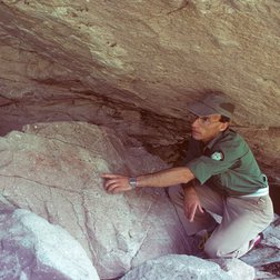 Incisioni nella Valle delle Meraviglie (© Archivio PNM)
