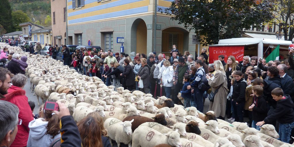 Festa della transumanza in Roya (© Alain Lantéri Minet PNM)