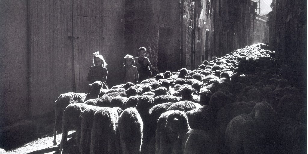 Un fiume di pecore invade le vie del paese (© Archivio Ecomuseo della Pastorizia)