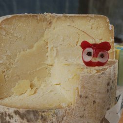 Una forma di Ariùnd delle Alpi, formaggio prodotto in Valle Gesso (© Nanni Villani PNAM)