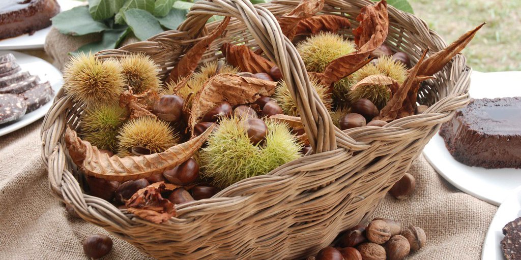 Un cesto di ricci e castagne (© Nanni Villani PNAM)