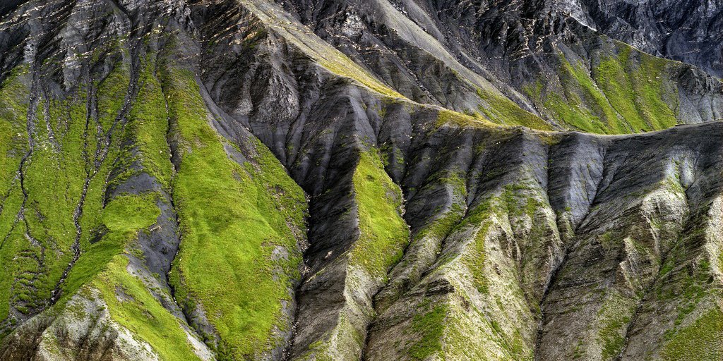 Le terre nere del Salso Moreno (© Philippe Richaud)