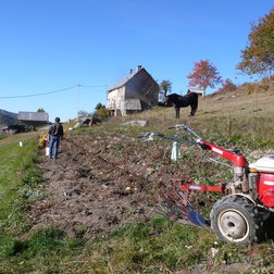 Raccolta delle patate (© Jean-Louis Cossa PNM)