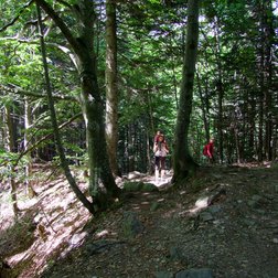 Salendo al Gias del Pian del Creus nel Parco naturale del Marguareis (G. Bernardi)