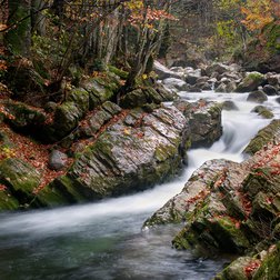 Il torrente Pesio. Foto F. Vivalda.