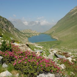 Il Lago del Vei del Bouc (PNAM)