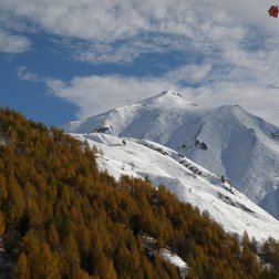 Vallone dell'Arma (PNAM)
