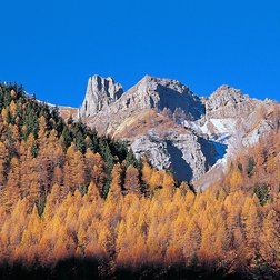 Un lariceto autunnale e le Guglie di Isola in Tinée (P.Piérini/PNM)