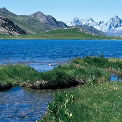 Il lago del Lauzanier in estate (R:Estachy/PNM)