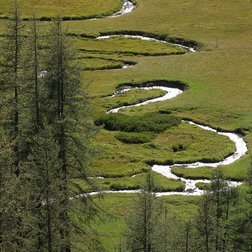 La Serpentine, nome dato al torrente Chadoulin (affluente del Verdon), sul pianoro del Laus (E.Le Bouttelier/PNM)